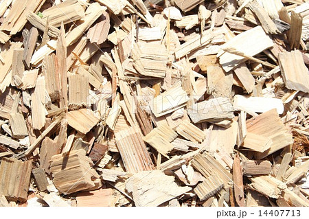 木材チップ 14407713