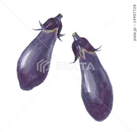 なすのイラスト素材