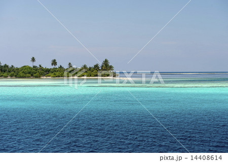 maldives tropical paradise 14408614