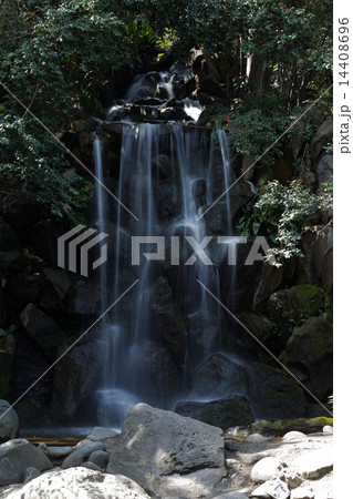 名主の滝公園の男滝と周囲の椿 14408696