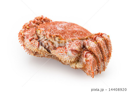 冷凍毛ガニ 14408920