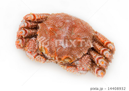 冷凍毛ガニ 14408932