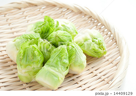 つぼみ菜 つぼみ菜 14409129