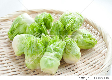 つぼみ菜 14409130