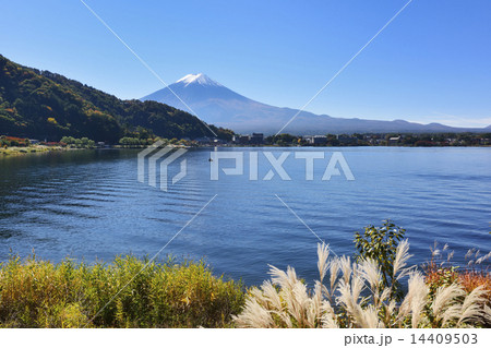 河口湖と富士山 河口湖と富士山 14409503