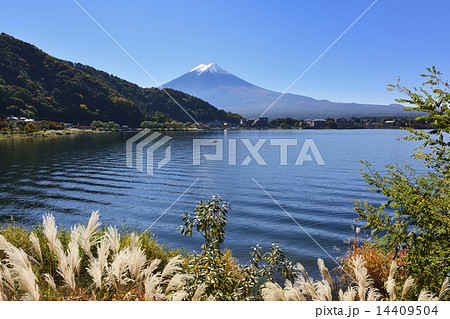 河口湖と富士山 河口湖と富士山 14409504