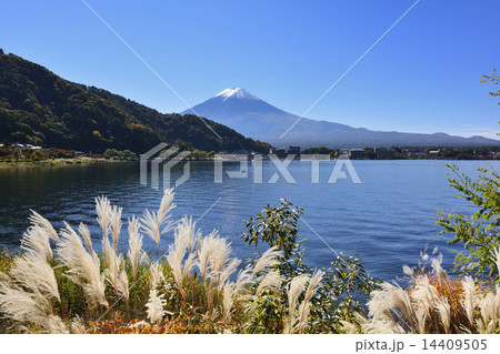 河口湖と富士山 河口湖と富士山 14409505