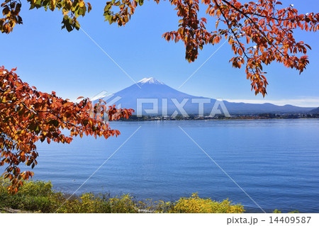 河口湖と富士山 14409587