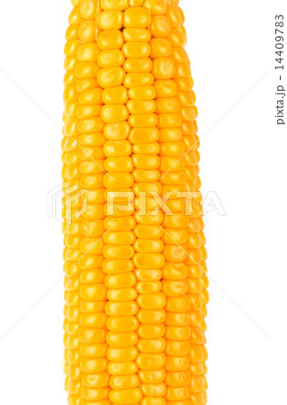 Corn 14409783