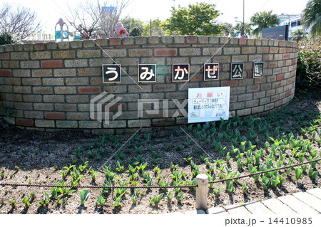 のんびり海を眺められる横須賀の「うみかぜ公園」を訪れて 14410985