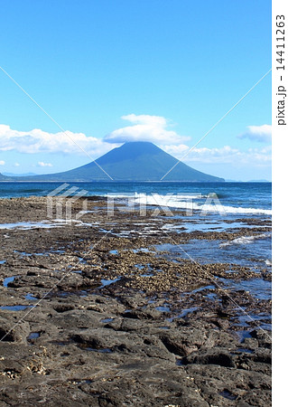 番所鼻自然公園の風景 14411263