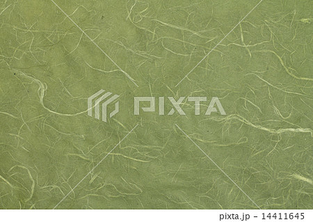 和紙 14411645