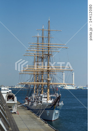 横浜港に寄港中の日本丸 14412080