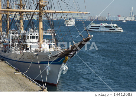 横浜港に寄港中の日本丸と観光船 14412082