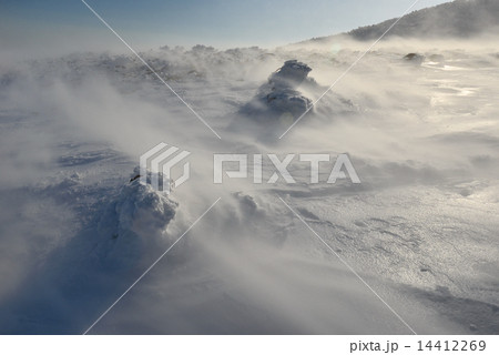 烈風の雪原 14412269