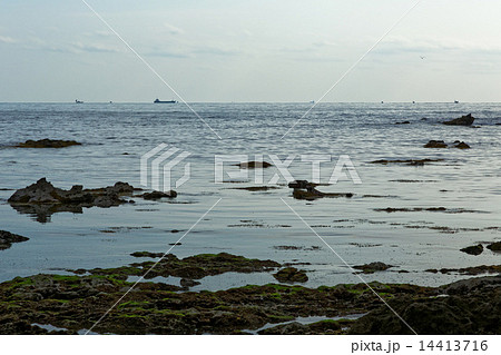 城ヶ島の岩礁と大海原 城ヶ島の岩礁と大海原 14413716