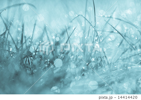 Abstract natural background 14414420