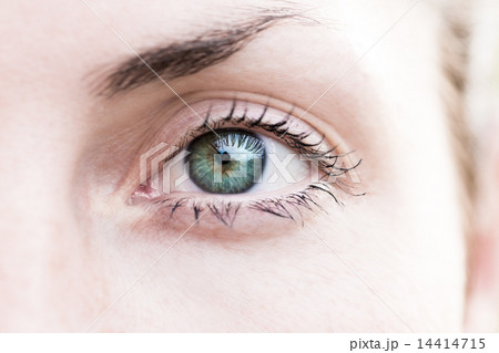 Macro shot of a woman's eye 14414715