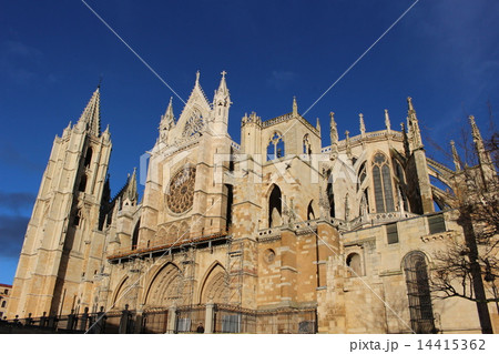 レオン大聖堂　スペイン 14415362
