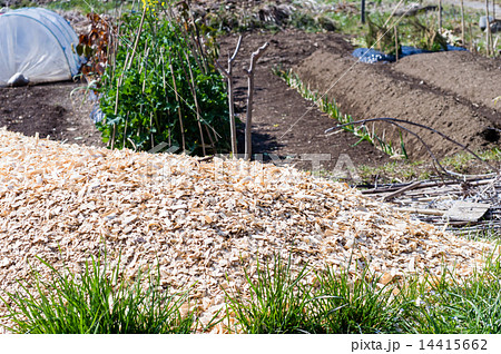 おが屑の肥料 14415662