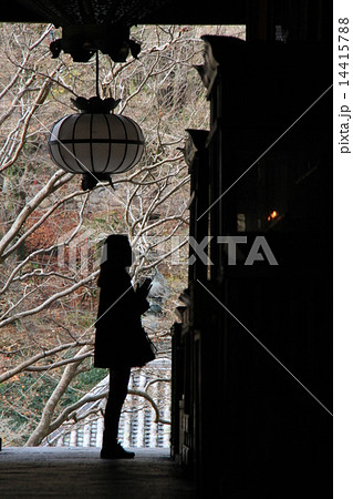 長谷寺 長谷寺 14415788