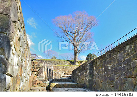 金山城跡 金山城跡 14416382