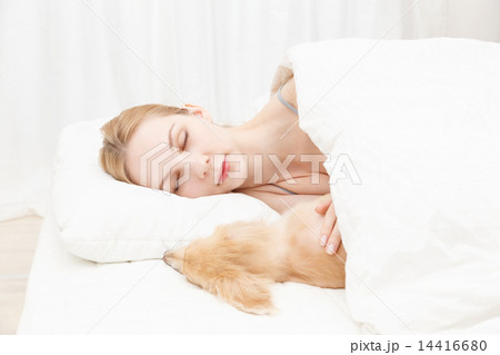 犬と寝る若い白人女性 14416680