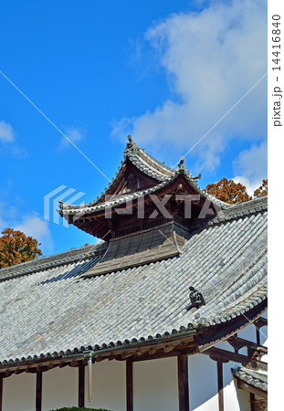 松島散歩:庫裡 瑞巌寺 松島散歩:庫裡 瑞巌寺 14416840