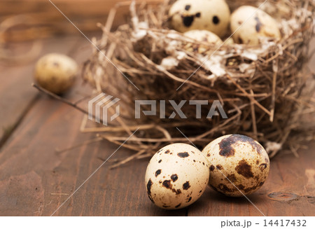 Quails Eggs Quails Eggs 14417432