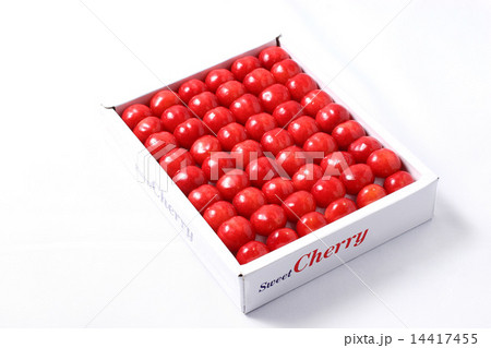 さくらんぼ 14417455