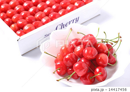 さくらんぼ 14417456