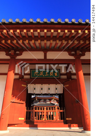 1月奈良 薬師寺・玄奘三蔵院伽藍礼門と玄奘塔 14417494