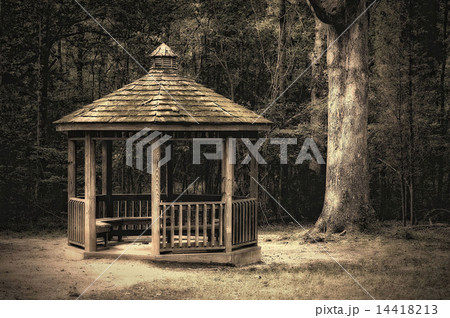 Southern Respite 14418213