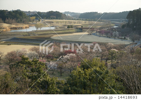 偕楽園公園 偕楽園公園 14418693