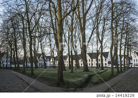 ベギン会修道院の朝 ベギン会修道院の朝 14419226