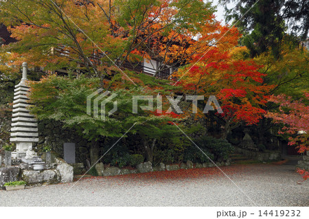 11月秋 紅葉の両子寺 ふたごじ 九州の秋景色の写真素材