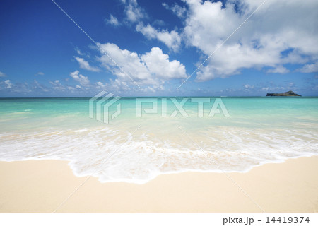 ハワイの海 14419374