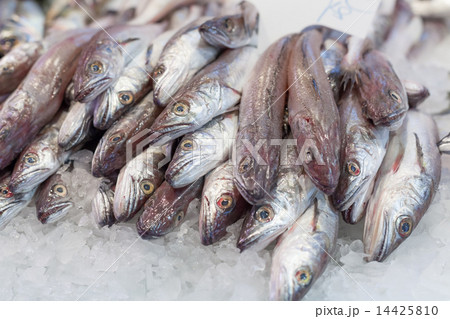 Display frozen horse mackerels for sale at a market, La Boqueria Market, Barcelona, Catalonia, Spain Display frozen horse mackerels for sale at a market, La Boqueria Market, Barcelona, Catalonia, Spain 14425810