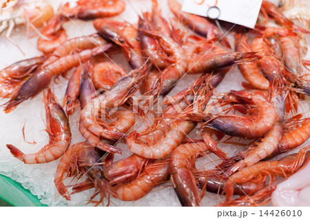 Display frozen prawns for sale at a market, La Boqueria Market, Barcelona, Catalonia, Spain 14426010