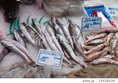 Varity of frozen fish at a market stall, La Boqueria Market, Barcelona, Catalonia, Spain Varity of frozen fish at a market stall, La Boqueria Market, Barcelona, Catalonia, Spain 14426036