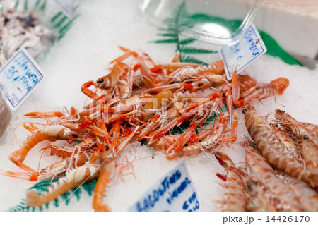 Display frozen prawns for sale at a market, La Boqueria Market, Barcelona, Catalonia, Spain Display frozen prawns for sale at a market, La Boqueria Market, Barcelona, Catalonia, Spain 14426170