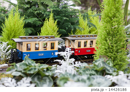 Toy train surrounded by conservatory Christmas green plants at Allan Gardens, Toronto, Ontario, Canada Toy train surrounded by conservatory Christmas green plants at Allan Gardens, Toronto, Ontario, Canada 14426186