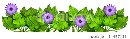 Green leafy plants with flowers 14427151