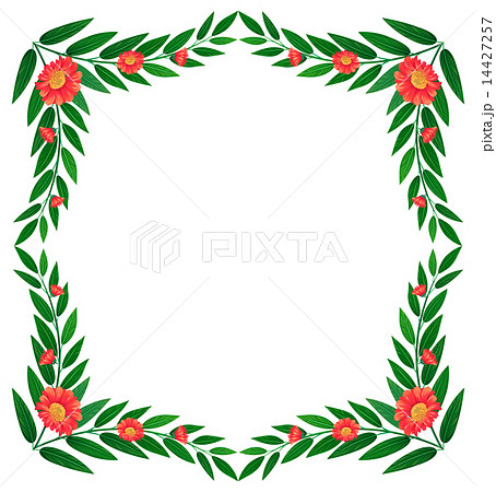 A plant border with flowers 14427257