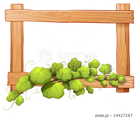 A wooden frame with a leafy plant 14427267