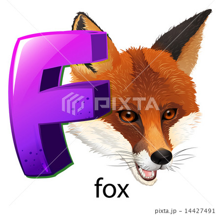 A letter F for fox 14427491
