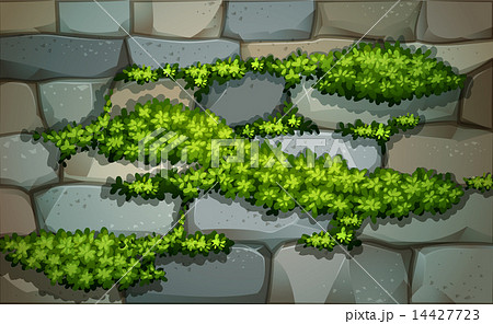 A wall with plants A wall with plants 14427723