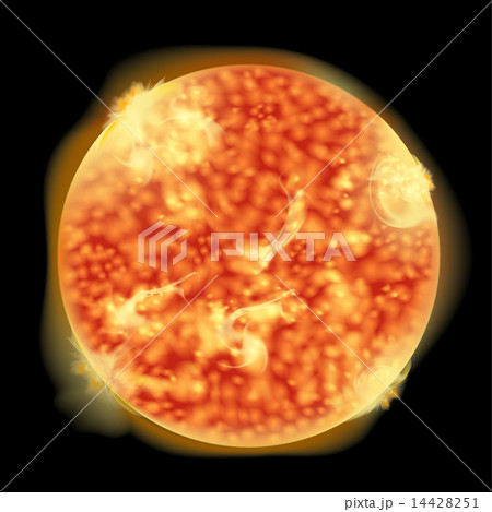 Sun Sun 14428251