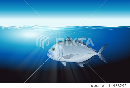 The Trevalley 14428295