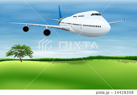 A plane about to land 14428308